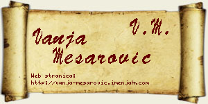 Vanja Mesarović vizit kartica